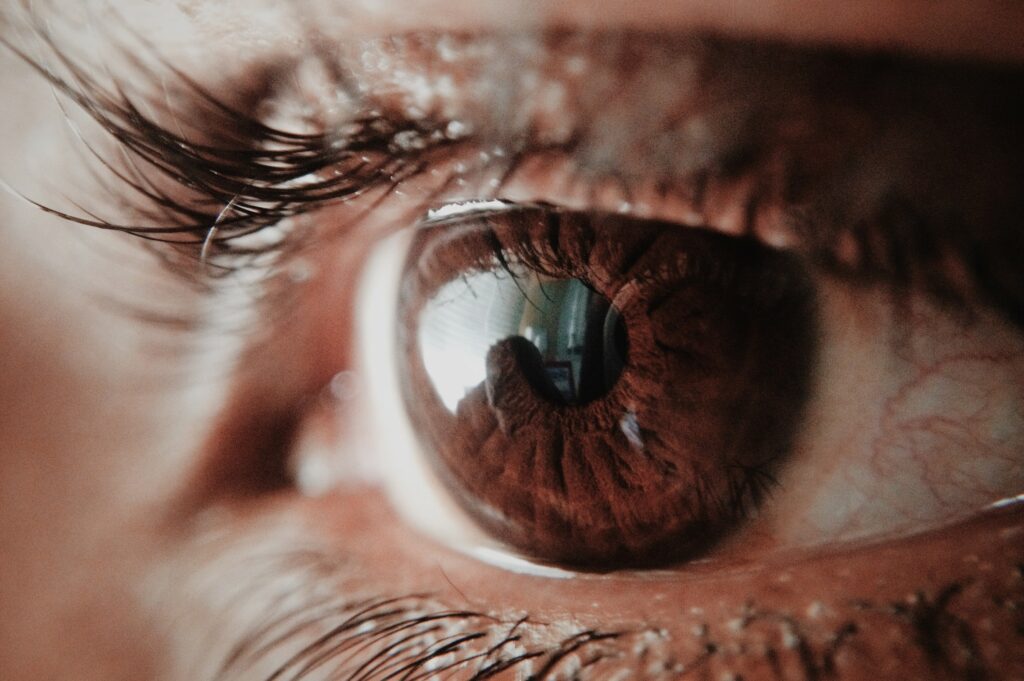 macro photo print of a human eye