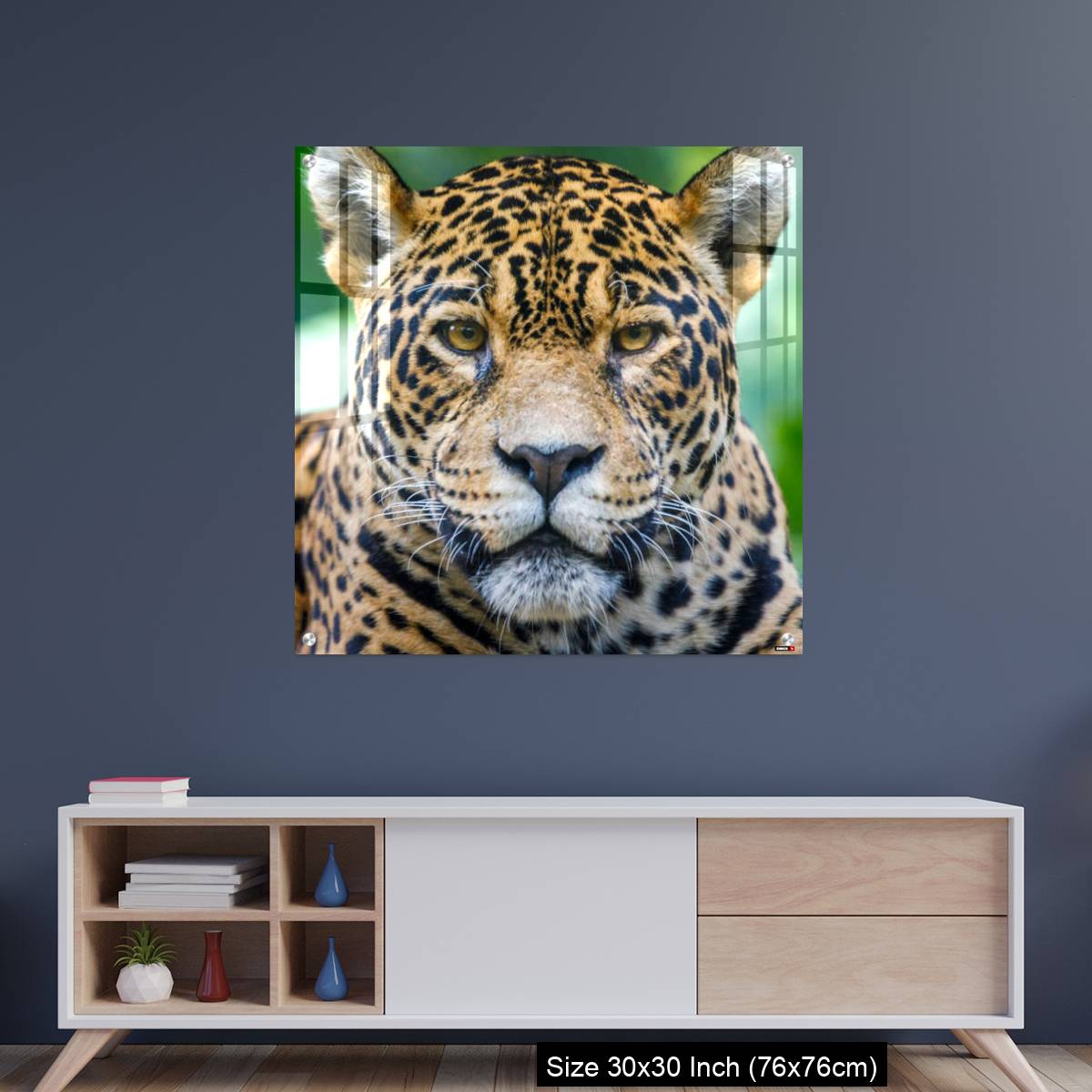 OMGs Acrylic Wall Decor – Jaguar looking at camera - Pantanal wetlands, Brazil
