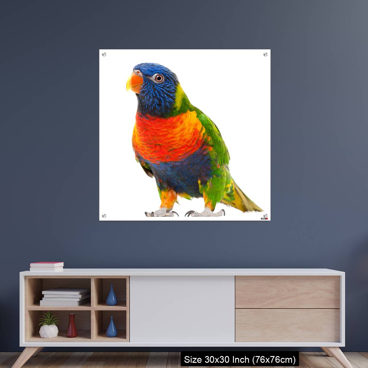 OMGs Acrylic Wall Decor – Rainbow Lorikeet, Trichoglossus haematodus