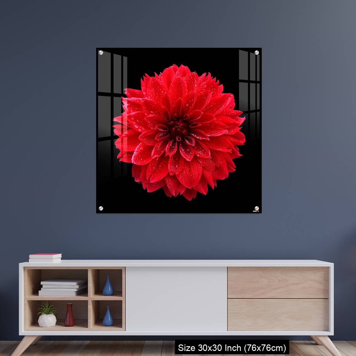 OMGs Acrylic Wall Decor – Red dahlia,like a ball of fire,on black background