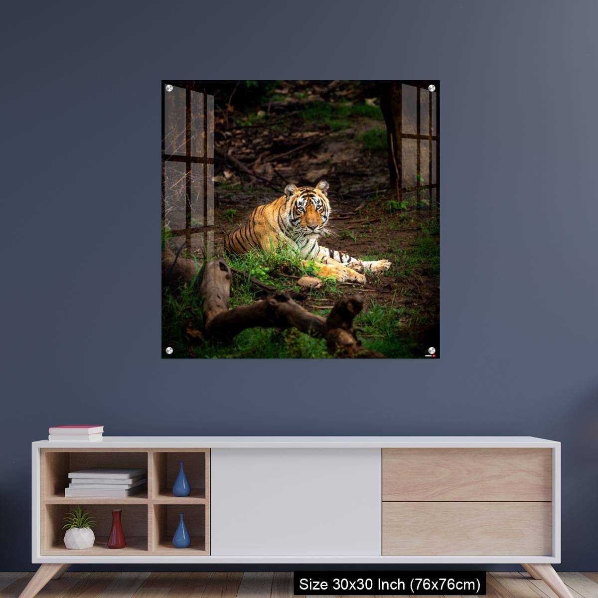 OMGs Acrylic Wall Decor – wild bengal male tiger