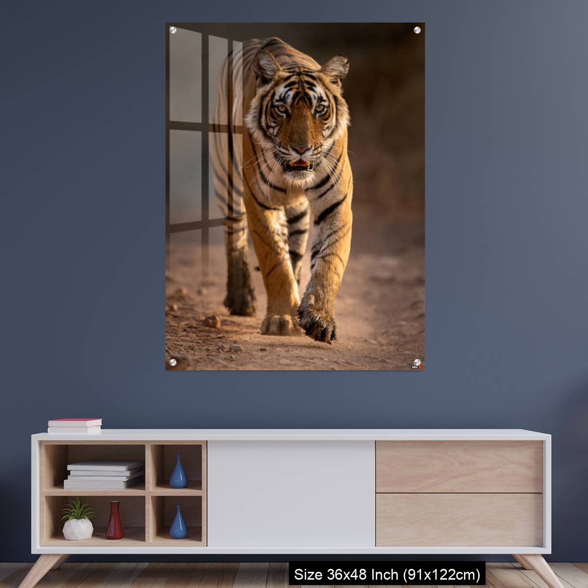 OMGs Acrylic Wall Decor – A young tigress walks