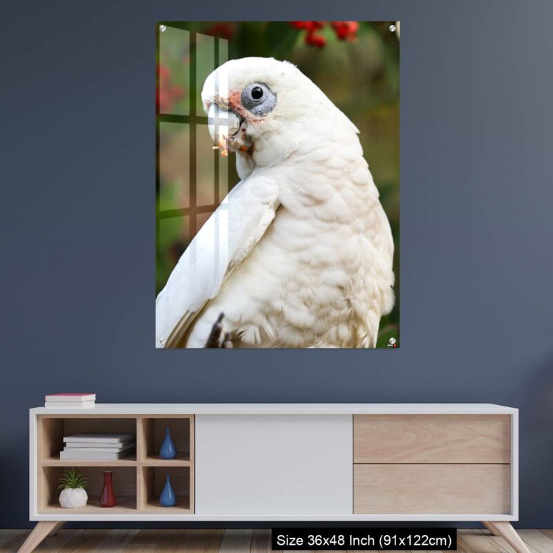 OMGs Acrylic Wall Decor – Close up of a Corella Feeding in a Tree