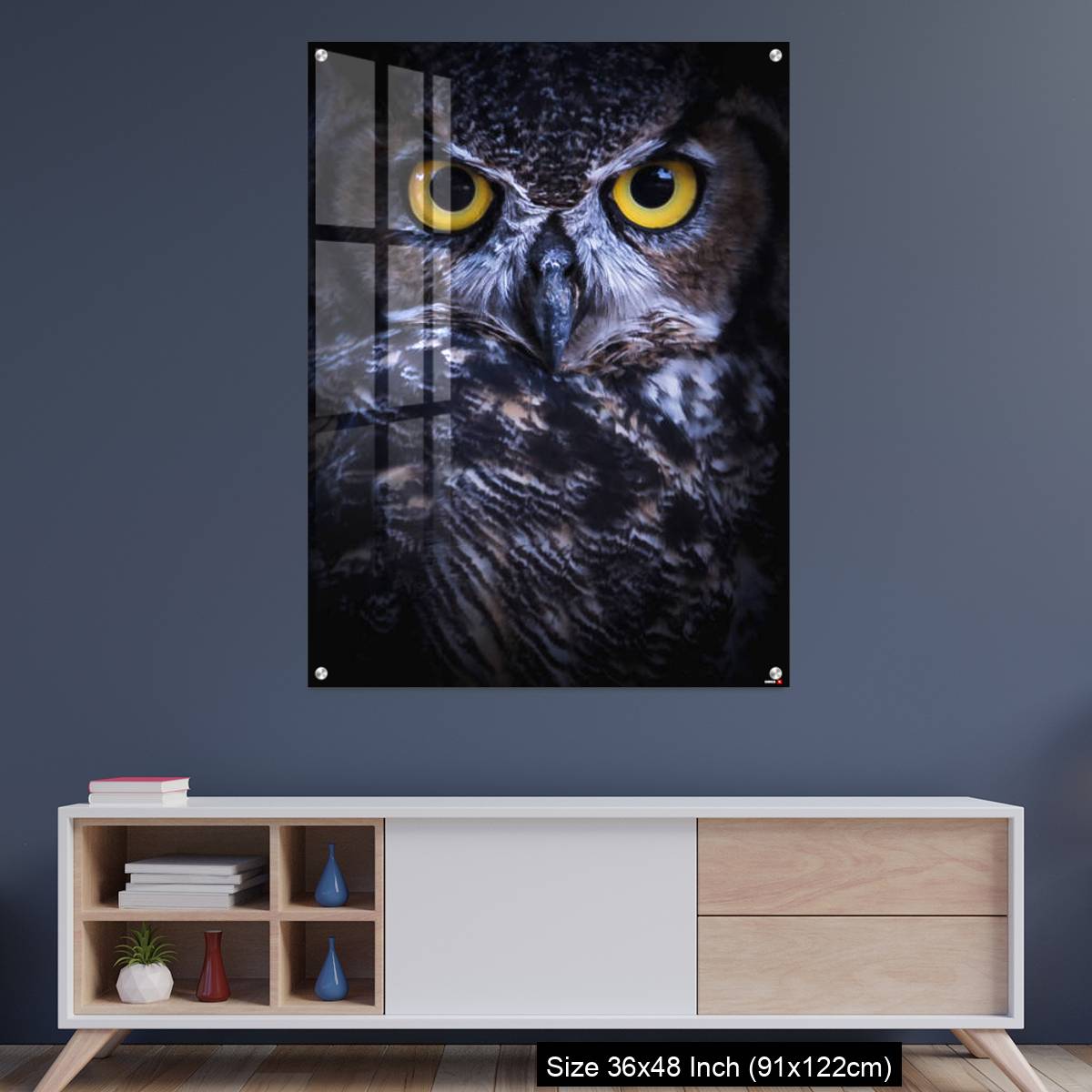 OMGs Acrylic Wall Decor – Intense Eye Contact from a Great-Horned Owl