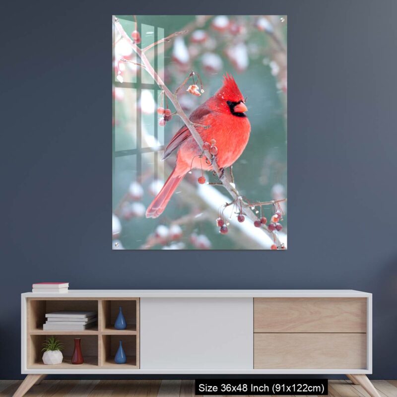 OMGs Acrylic Wall Decor – Northern Cardinal and light snow in winter