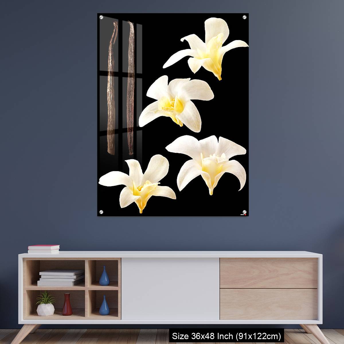 OMGs Acrylic Wall Decor – Vanilla flowers and stick isolated on black background
