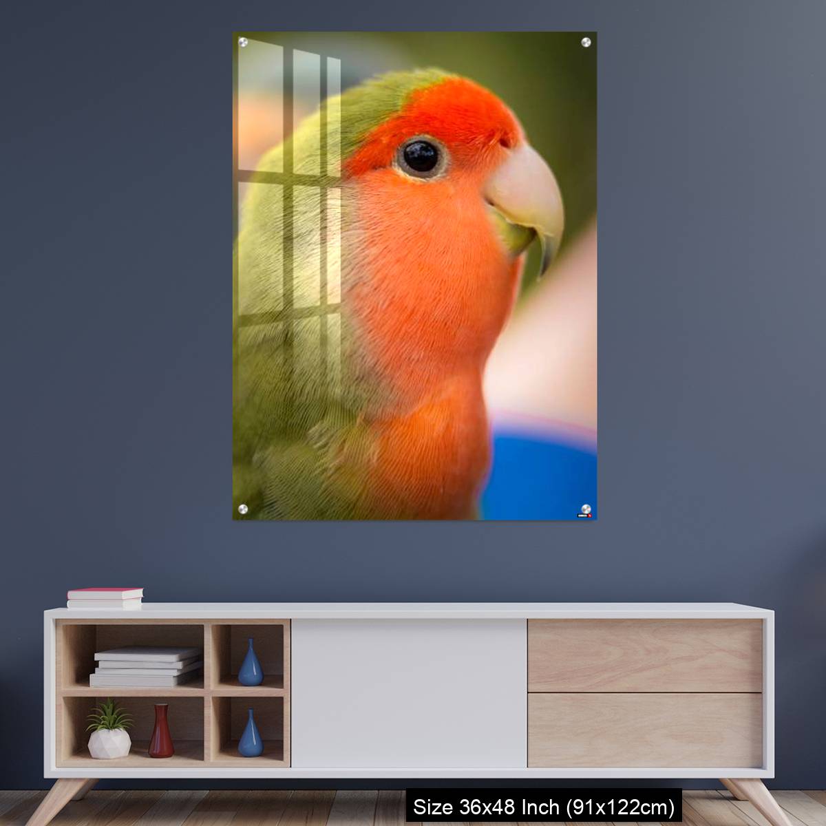 OMGs Acrylic Wall Decor – Vibrant rosy-faced lovebird