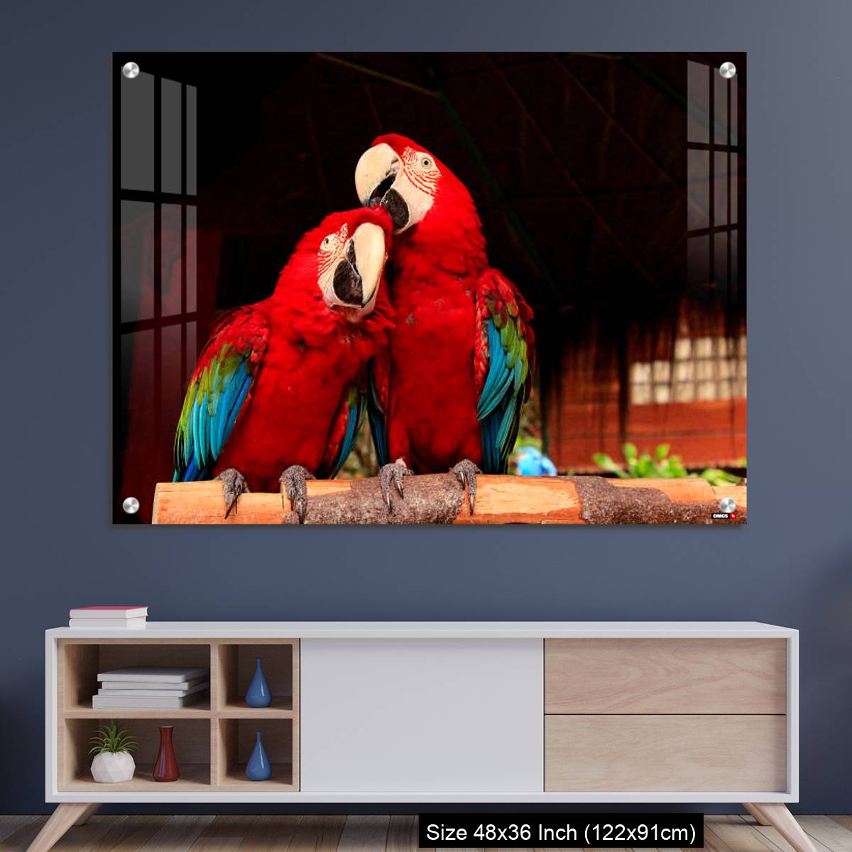OMGs Acrylic Wall Decor – A  Macaw Bird Teasing His Friend’s Head