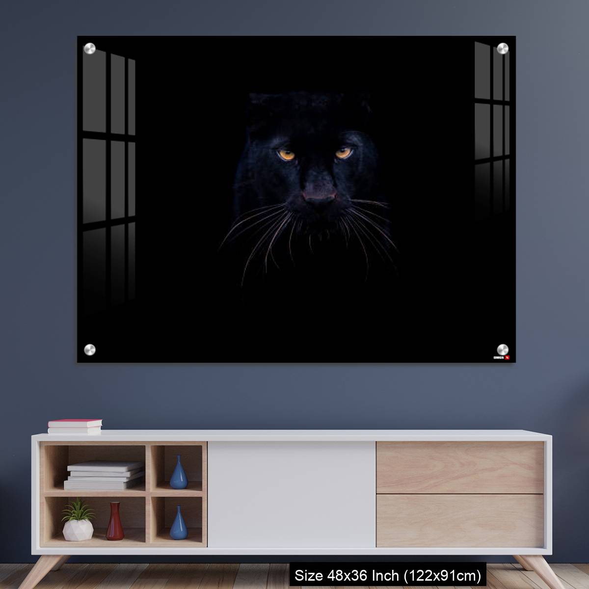 OMGs Acrylic Wall Decor – A black panther with a black background