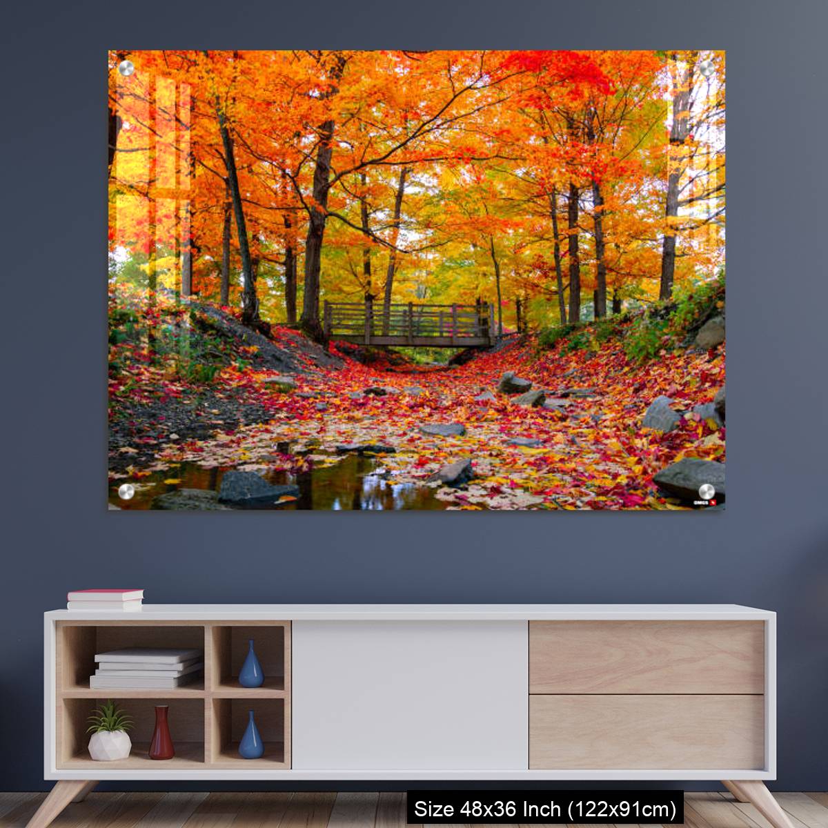 OMGs Acrylic Wall Decor – Beautiful fall foliage in the northeast USA