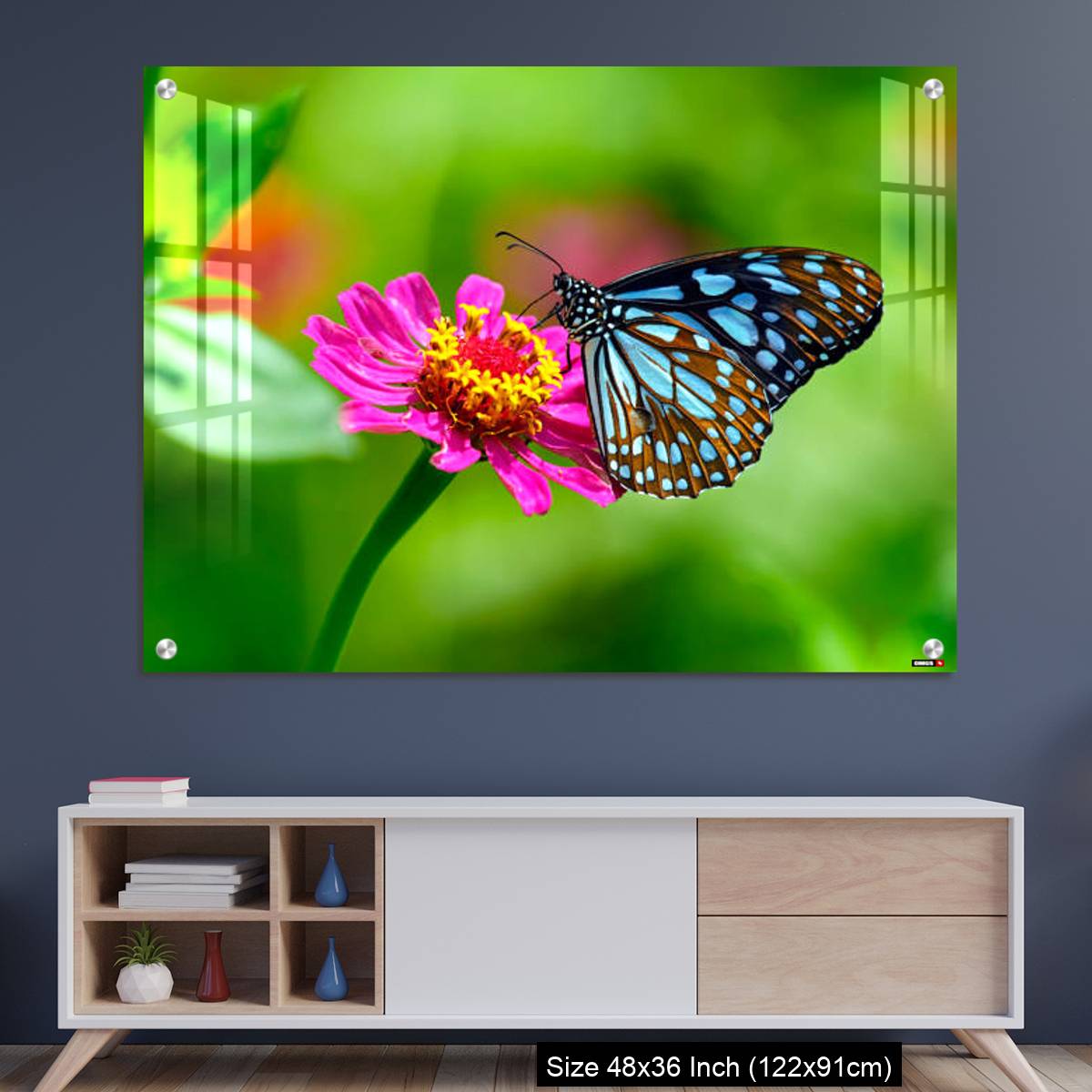 OMGs Acrylic Wall Decor – Blue tiger butterfly on a pink zinnia flower with green background