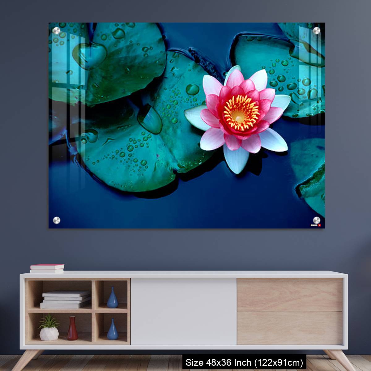 OMGs Acrylic Wall Decor – Brightly colored water lily floating on a stil pond