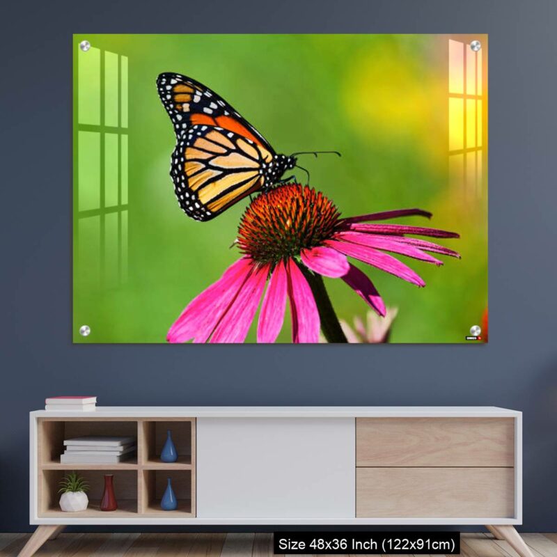 OMGs Acrylic Wall Decor – Butterfly kiss on a cosmos flower