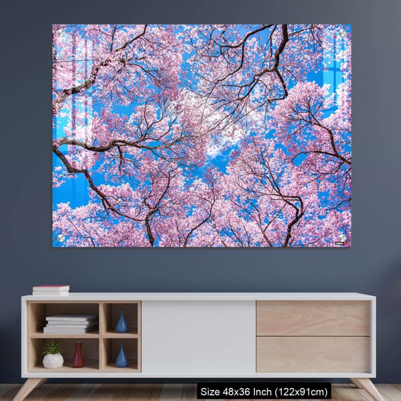OMGs Acrylic Wall DecorCherry Blossom and Blue Sky