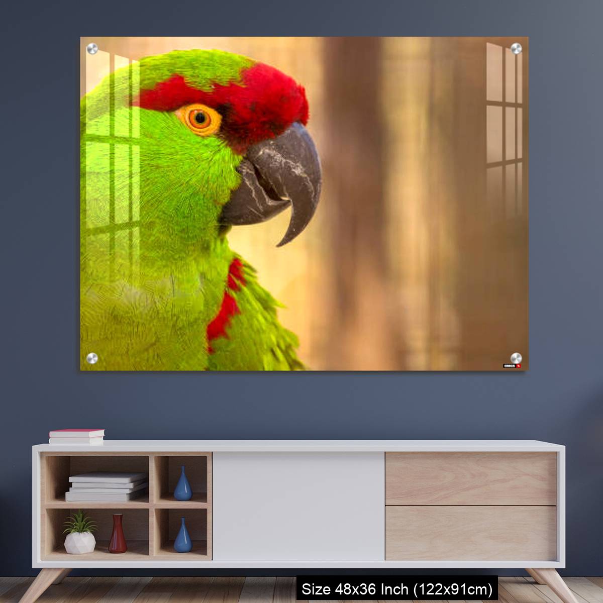 OMGs Acrylic Wall Decor – Close-up portrait of a thick billed parrot
