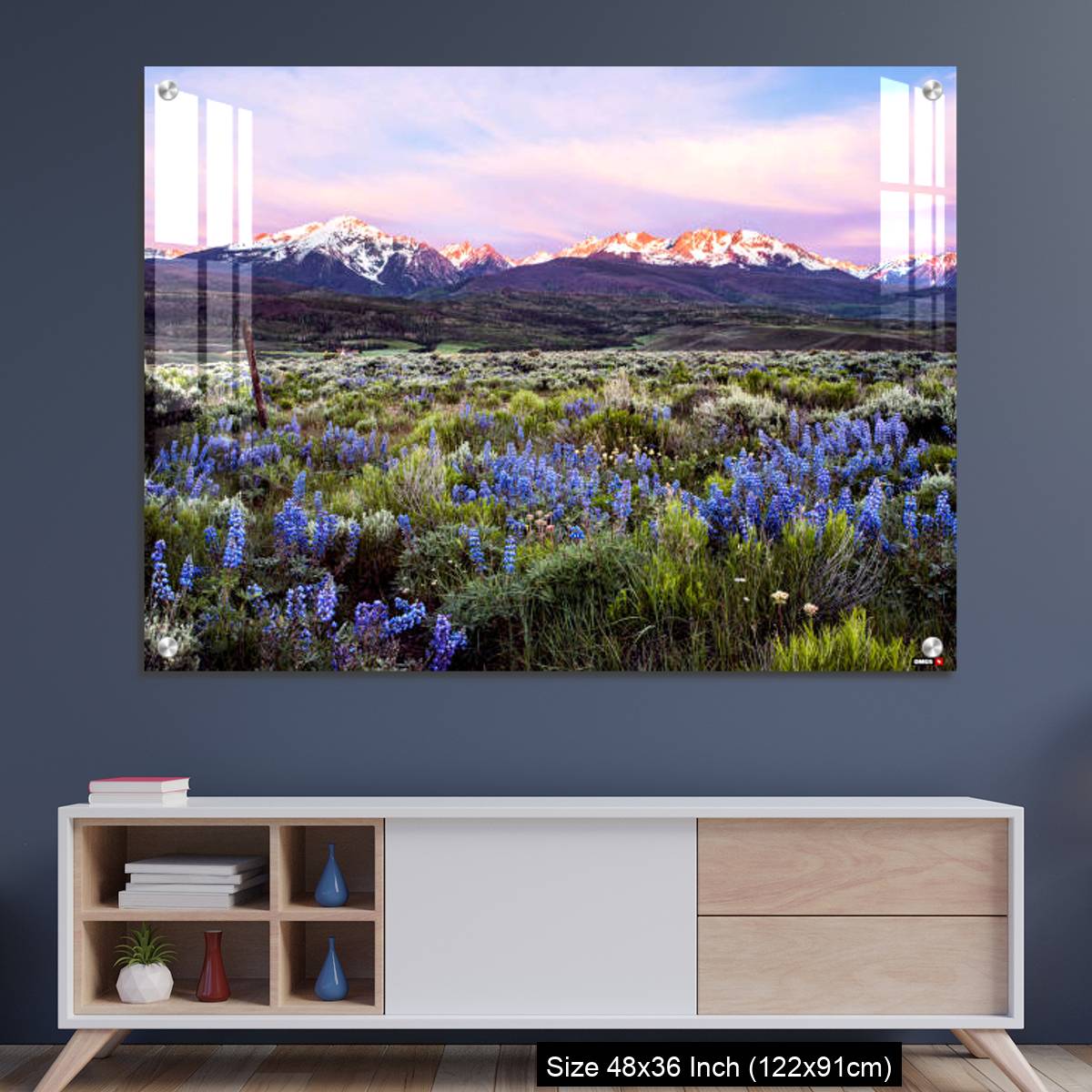 OMGs Acrylic Wall Decor – Colorado wildflowers and the gore range