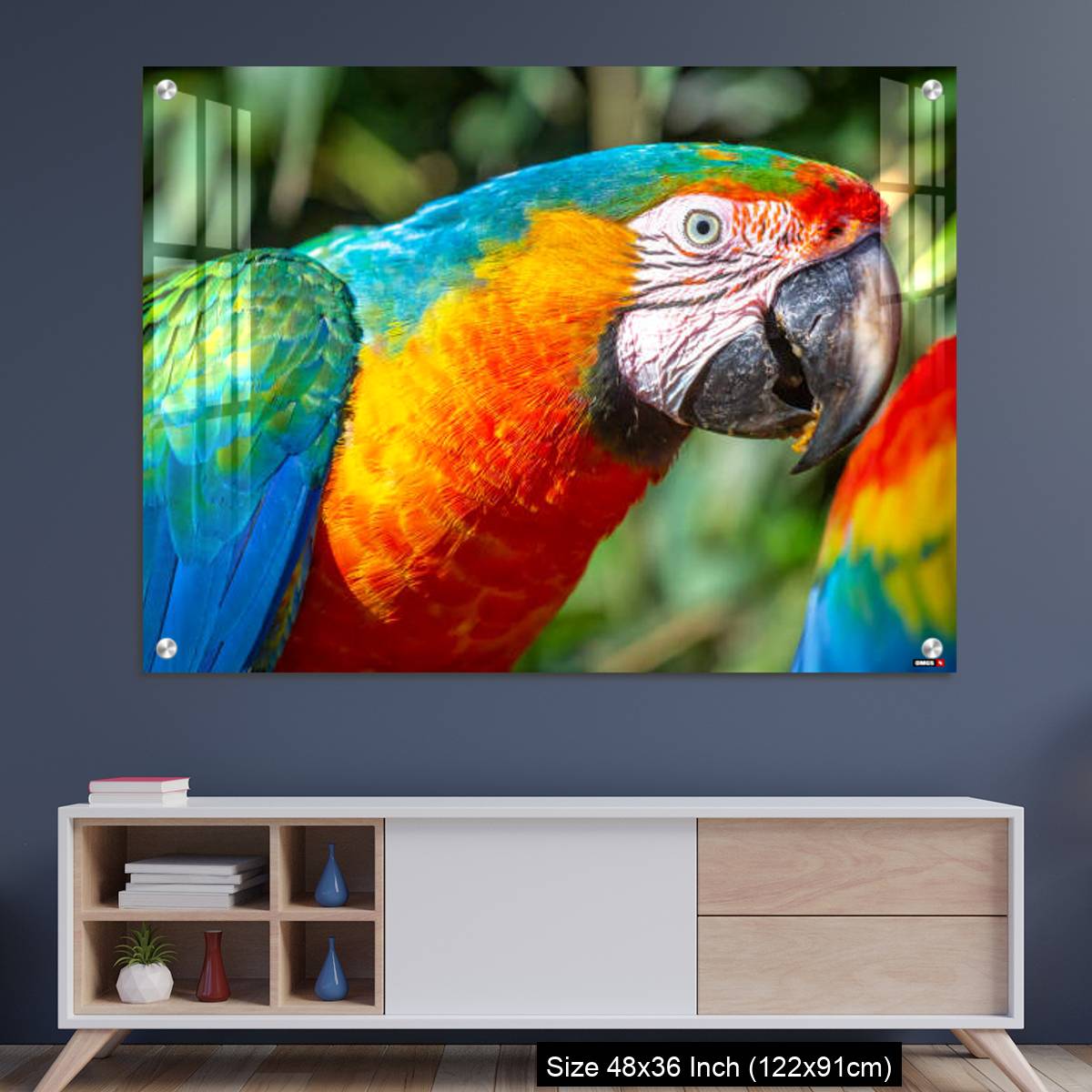 OMGs Acrylic Wall Decor – Colorful Macaw parrot looking at camera in Brazil