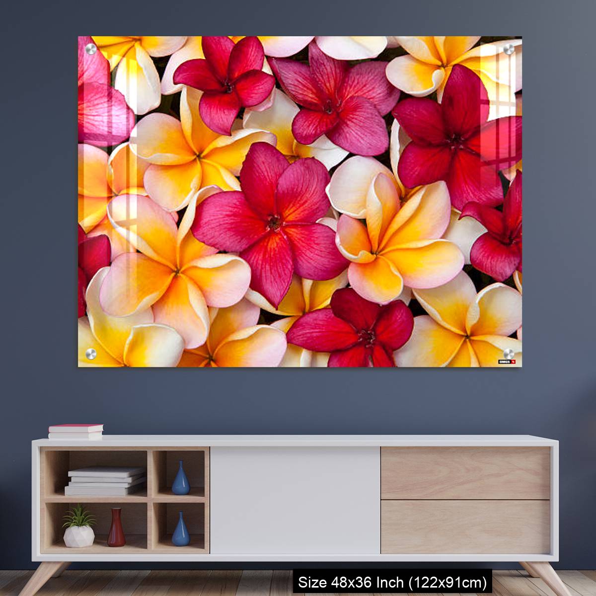 OMGs Acrylic Wall Decor – Colorful Pulmeria (or Frangipani) flowers