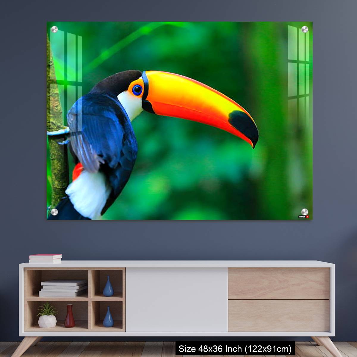 OMGs Acrylic Wall Decor – Colorful cute Toucan tropical bird