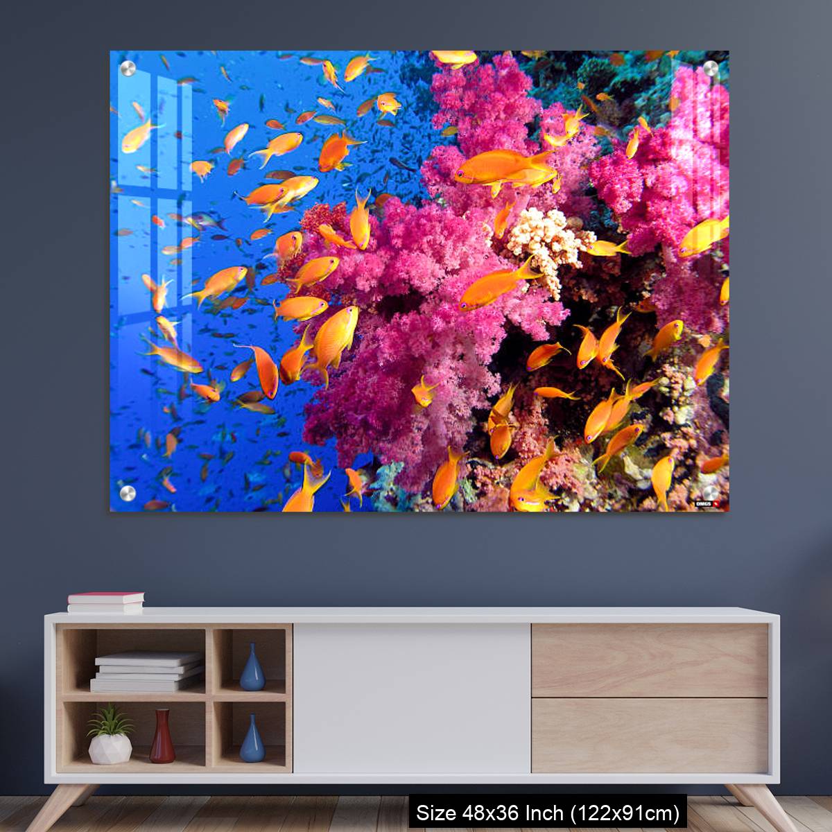 OMGs Acrylic Wall Decor – Colorful underwater picture of a coral reef, with goldfish