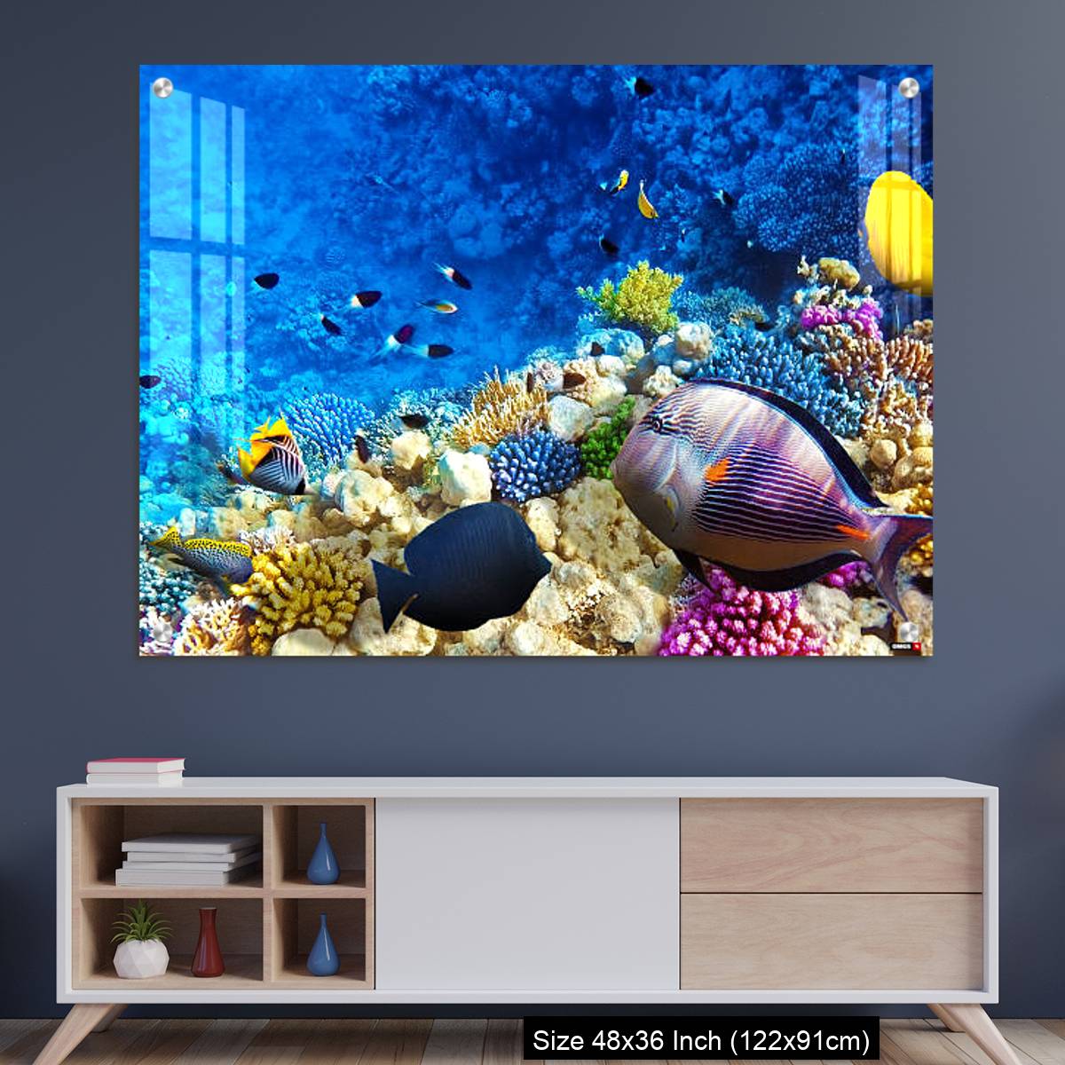 OMGs Acrylic Wall Decor – Coral and fish in the Red Sea. Egypt, Africa.