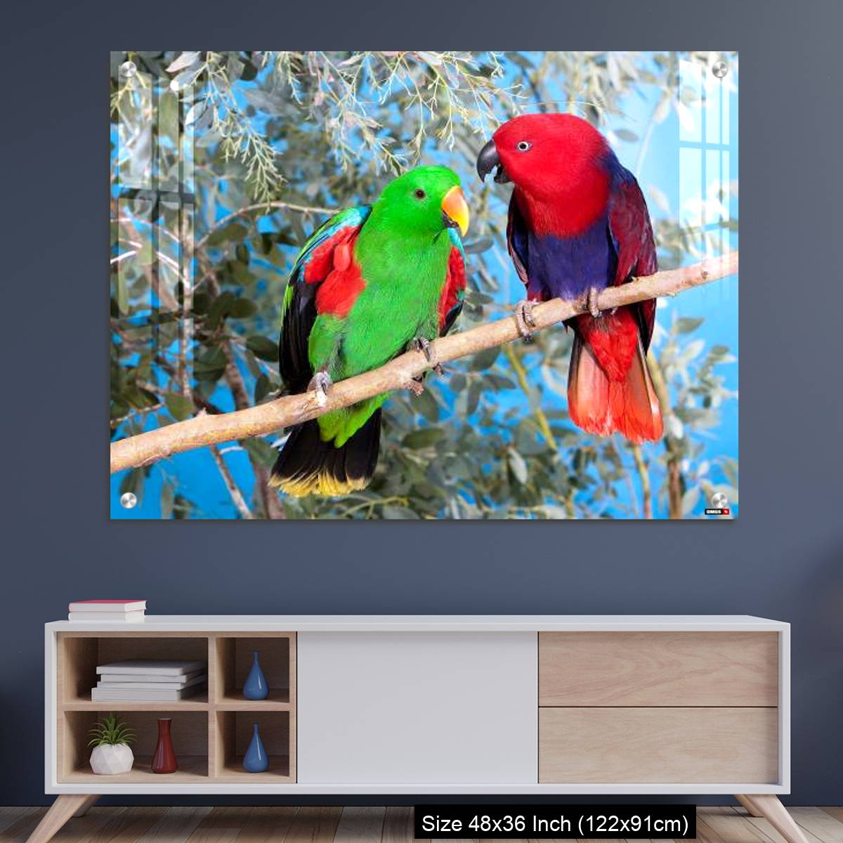 OMGs Acrylic Wall Decor – Eclectus Parrot, eclectus roratus, Pair standing on Branch, Male (green) and Female (Red)