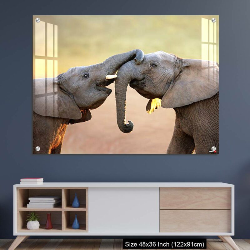 OMGs Acrylic Wall Decor – Elephants touching each other gently (greeting)