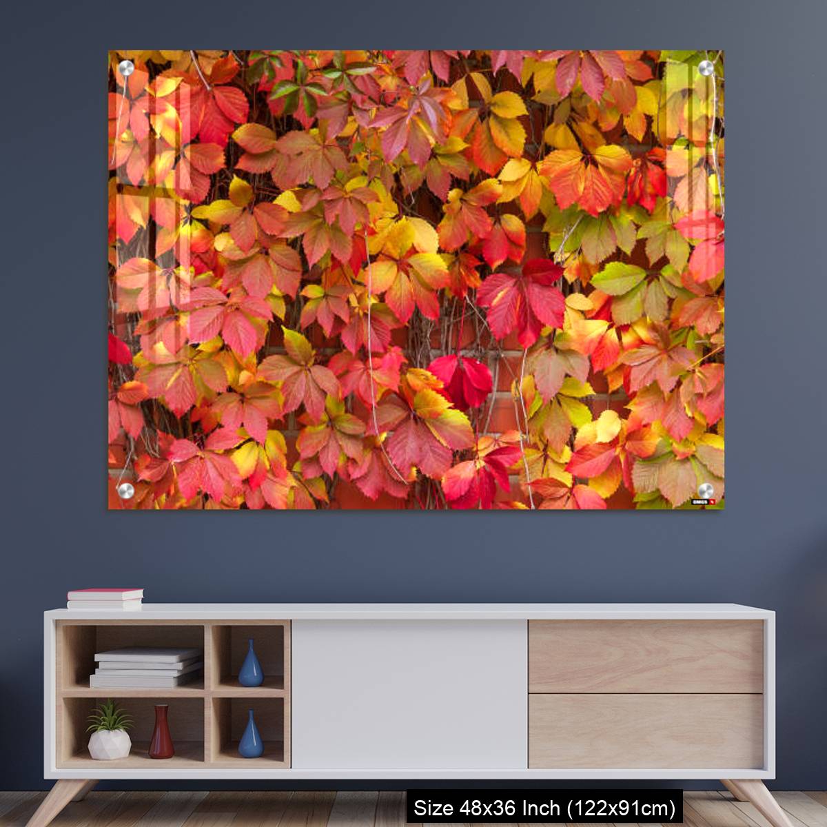 OMGs Acrylic Wall Decor – False Virginia creeper Parthenocissus inserta foliage in autumn colors