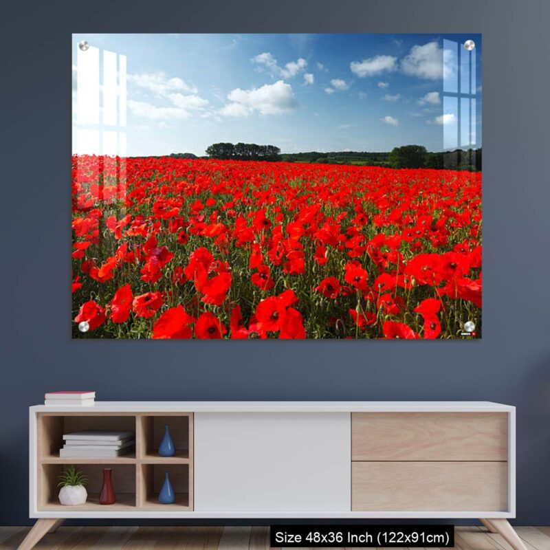 OMGs Acrylic Wall Decor – Field of Common Poppies