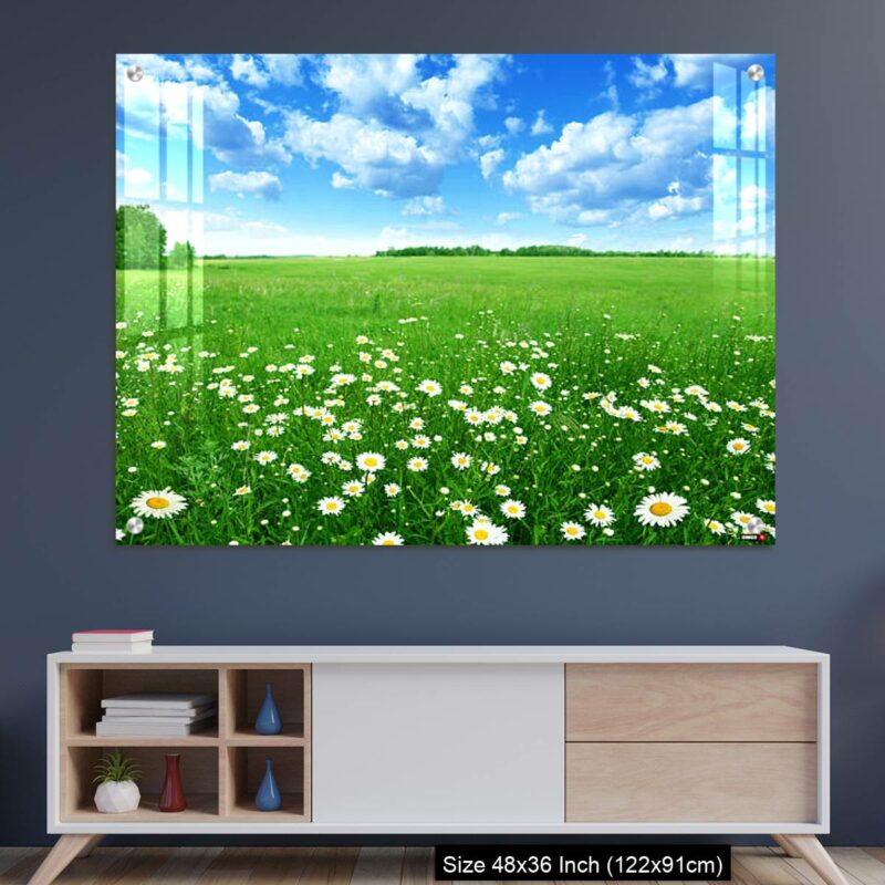 OMGs Acrylic Wall Decor – Field with white daisies under blue sky.