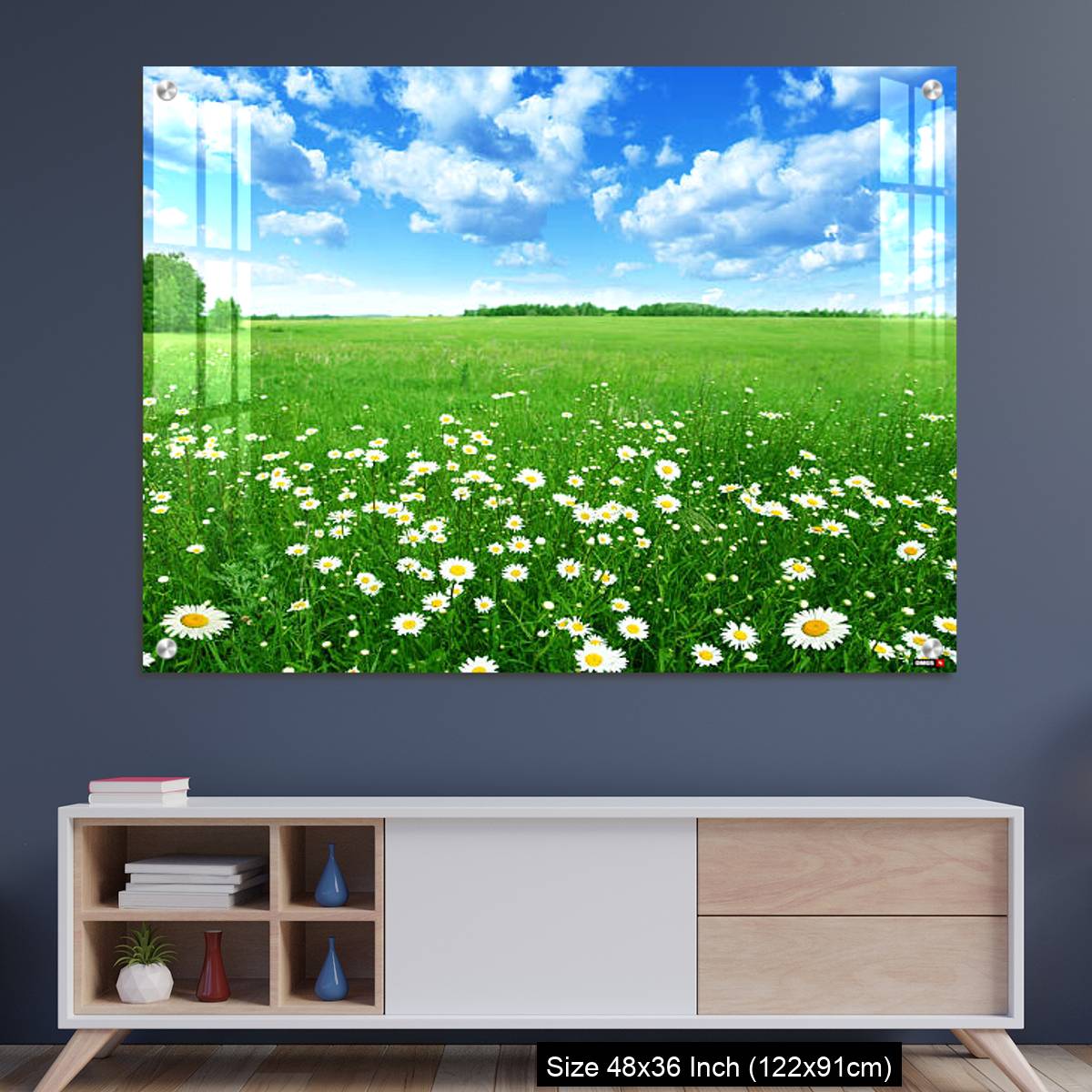 OMGs Acrylic Wall Decor – Field with white daisies under blue sky.