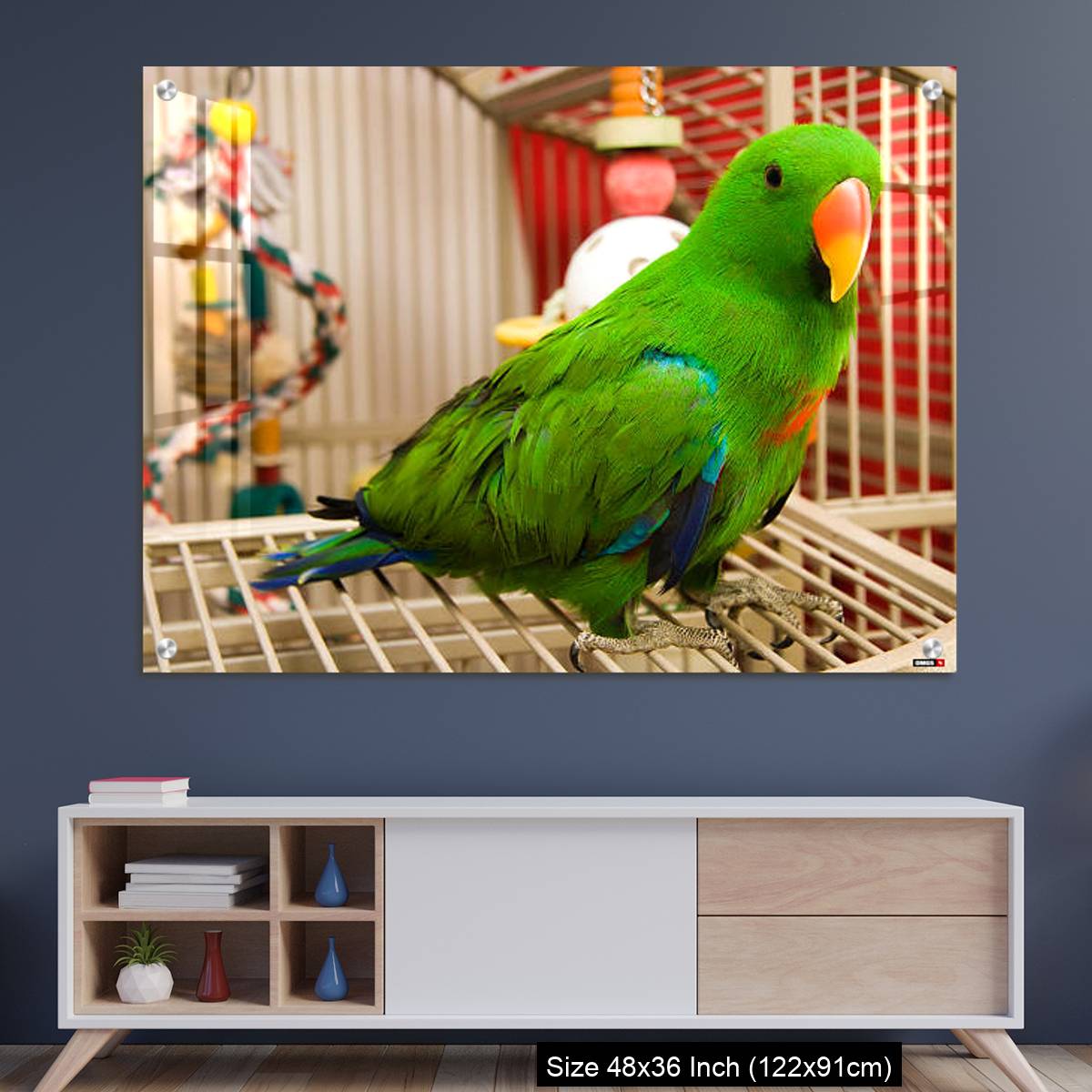 OMGs Acrylic Wall Decor – Green parrot perched on the open door of its cage