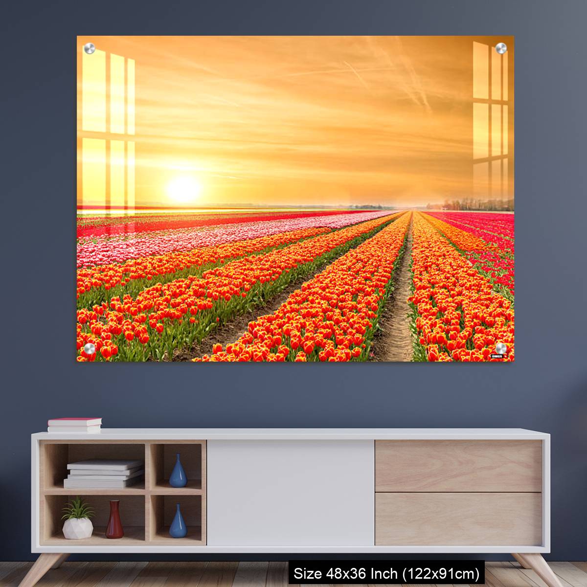 OMGs Acrylic Wall Decor – Landscape of Netherlands tulips with sunlight in Netherlands.