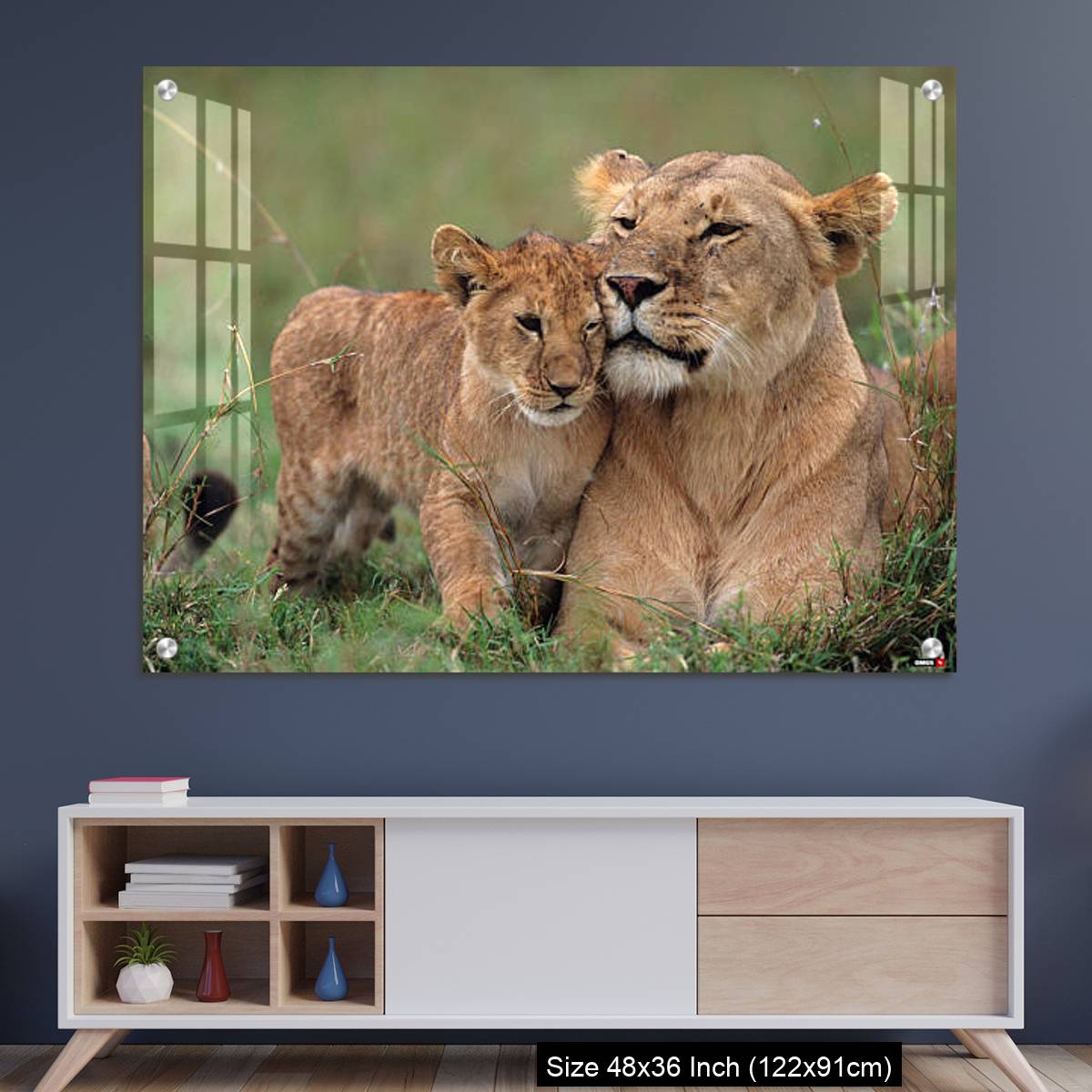 OMGs Acrylic Wall Decor – Lioness (Panthera leo) with cubs lying on grass, Kenya