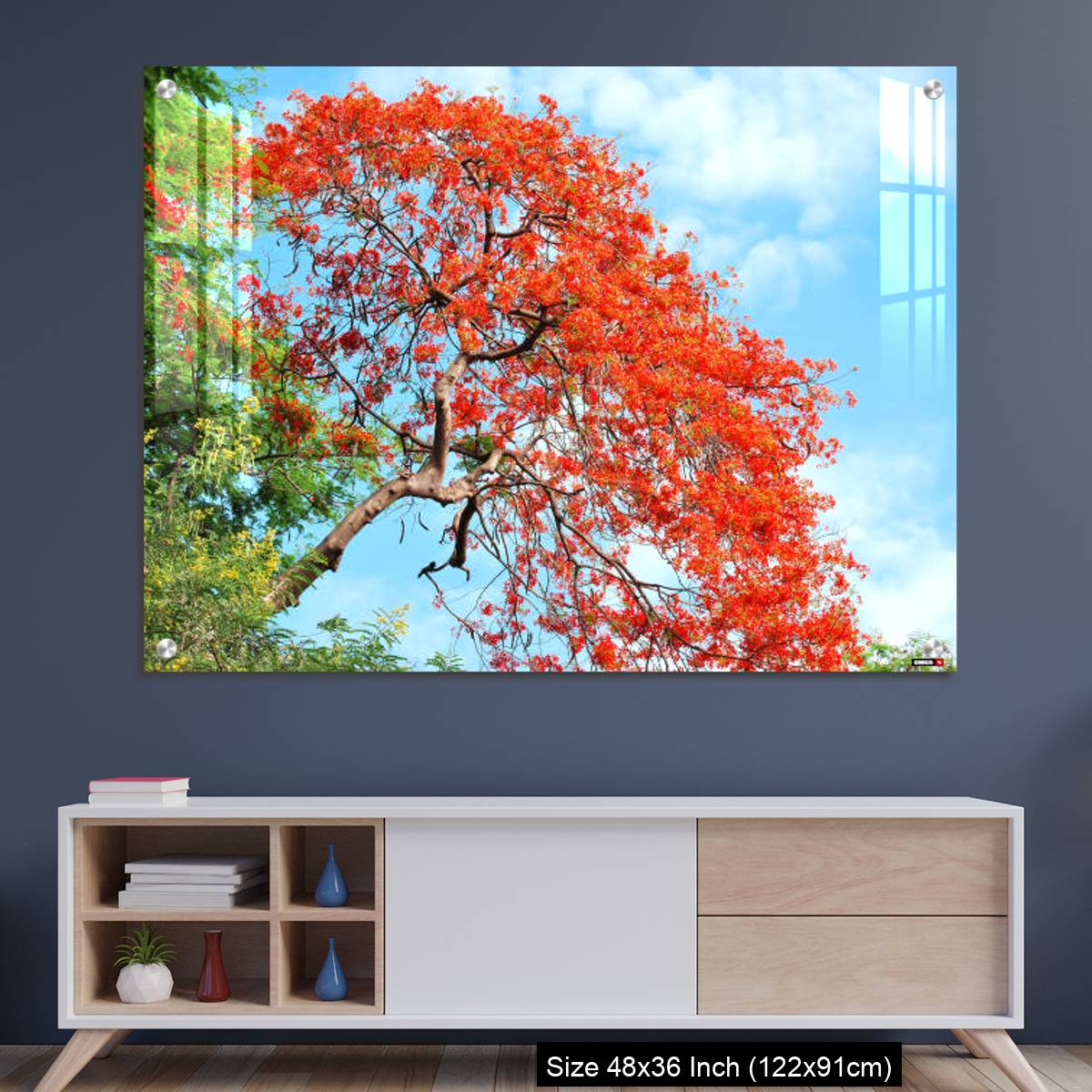 OMGs Acrylic Wall Decor – Gul Mohar tree in full bloom against a bright blue tropical sky in Mumbai, India.