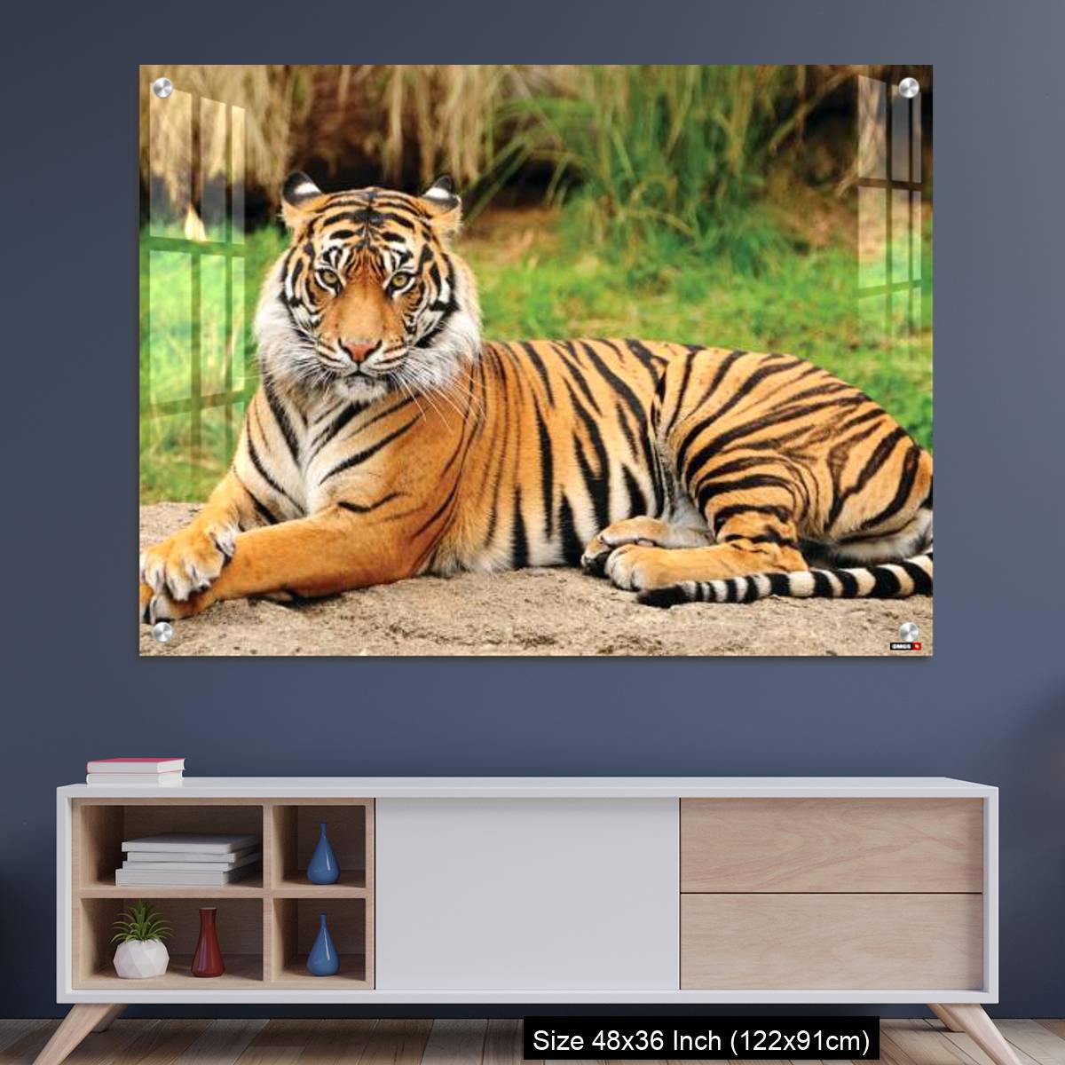 OMGs Acrylic Wall Decor – Royal Bengal Tiger alert and Staring at the Camera