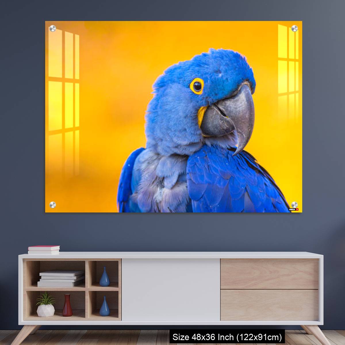 OMGs Acrylic Wall Decor – Portrait of big blue parrot Hyacinth Macaw