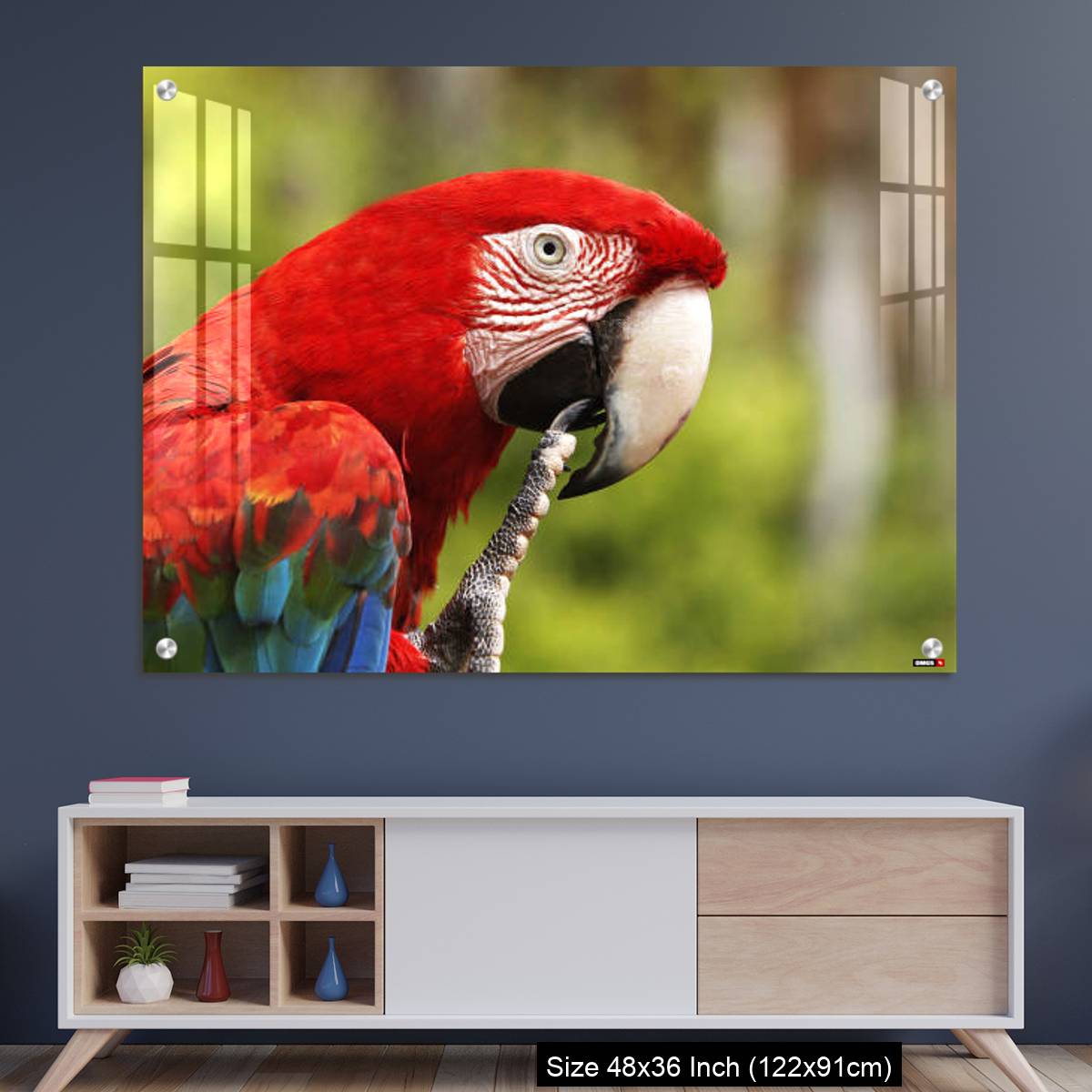 OMGs Acrylic Wall Decor – Red-and-Green Macaw, ara chloroptera, Portrait of Adult
