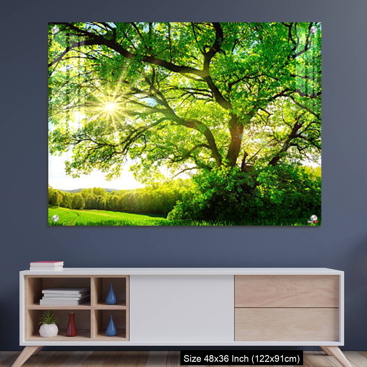 OMGs Acrylic Wall Decor – The sun shining through a majestic oak tree