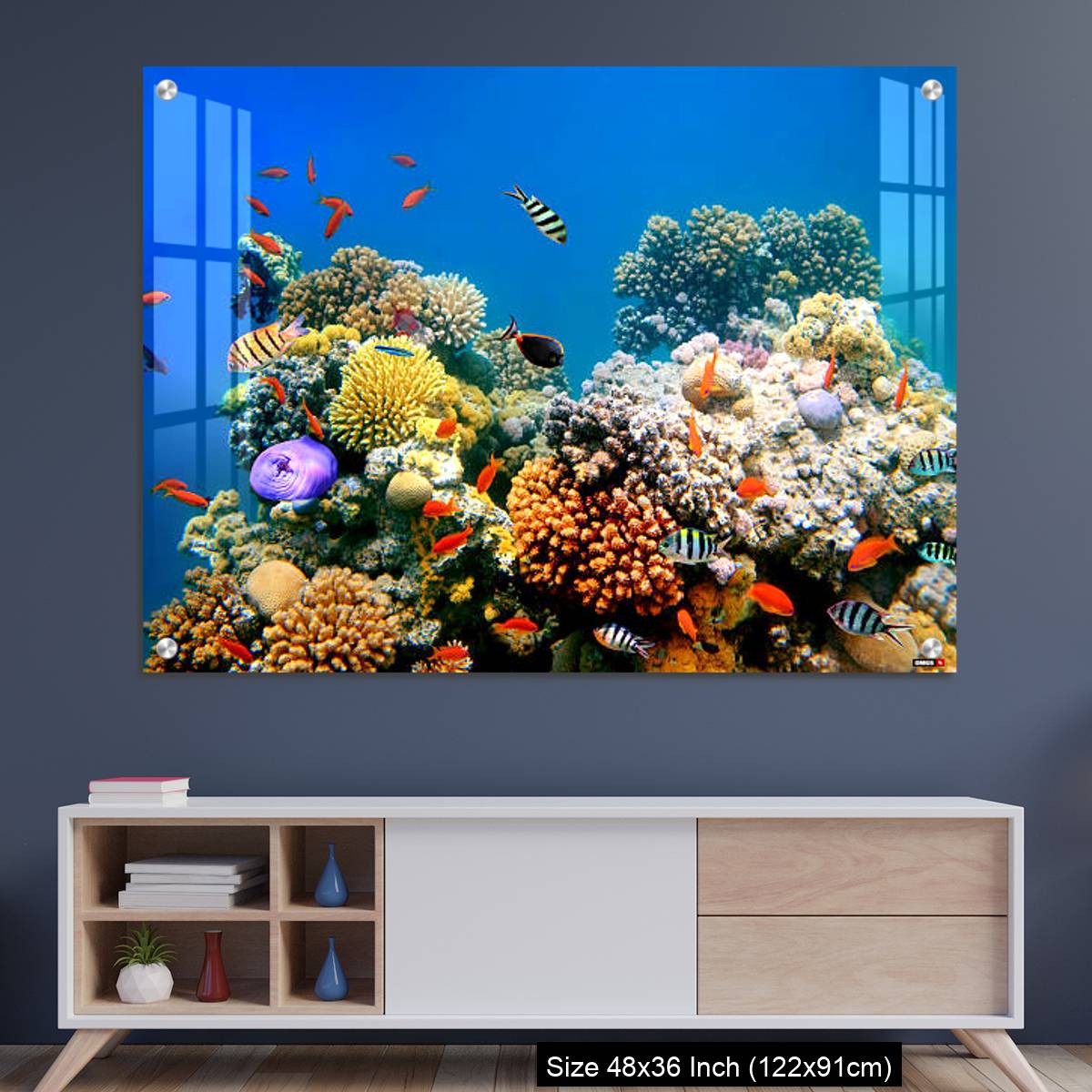 OMGs Acrylic Wall Decor – Tropical Fish on a coral reef