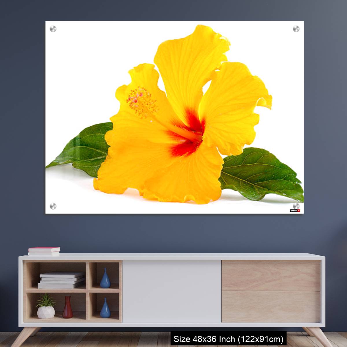OMGs Acrylic Wall Decor – Tropical Yellow Hibiscus Flower isolated on white