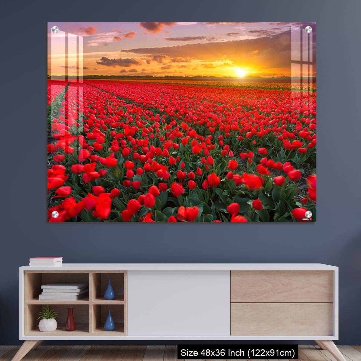 OMGs Acrylic Wall Decor – Tulip fields at sunset in the Netherlands
