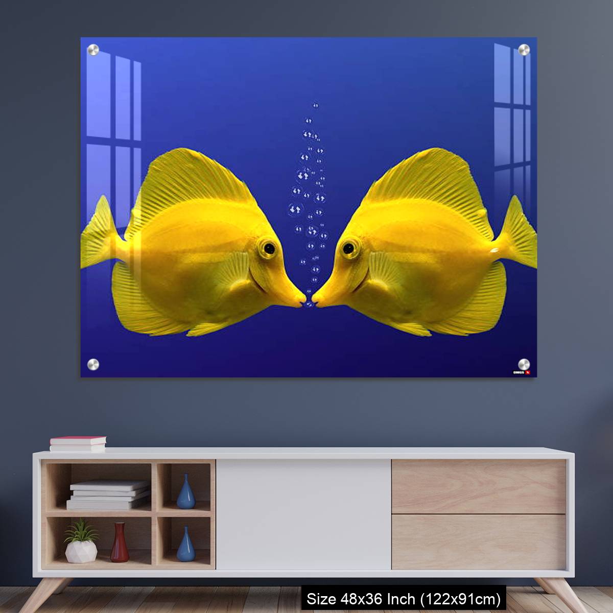 OMGs Acrylic Wall Decor – Two yellow tangs, face to face
