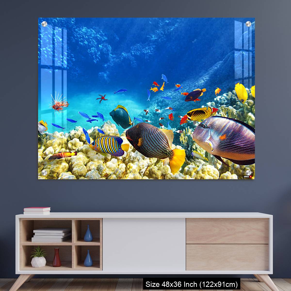 OMGs Acrylic Wall Decor – Underwater world with corals and tropical fish.