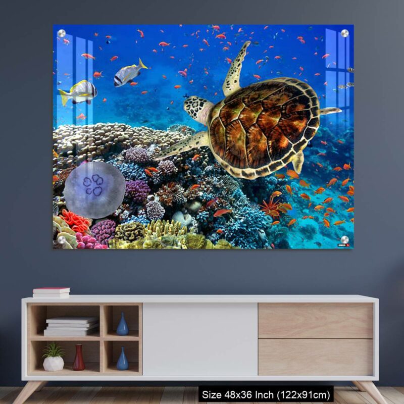 OMGs Acrylic Wall Decor – colorful coral reef with many fishes and sea turtle