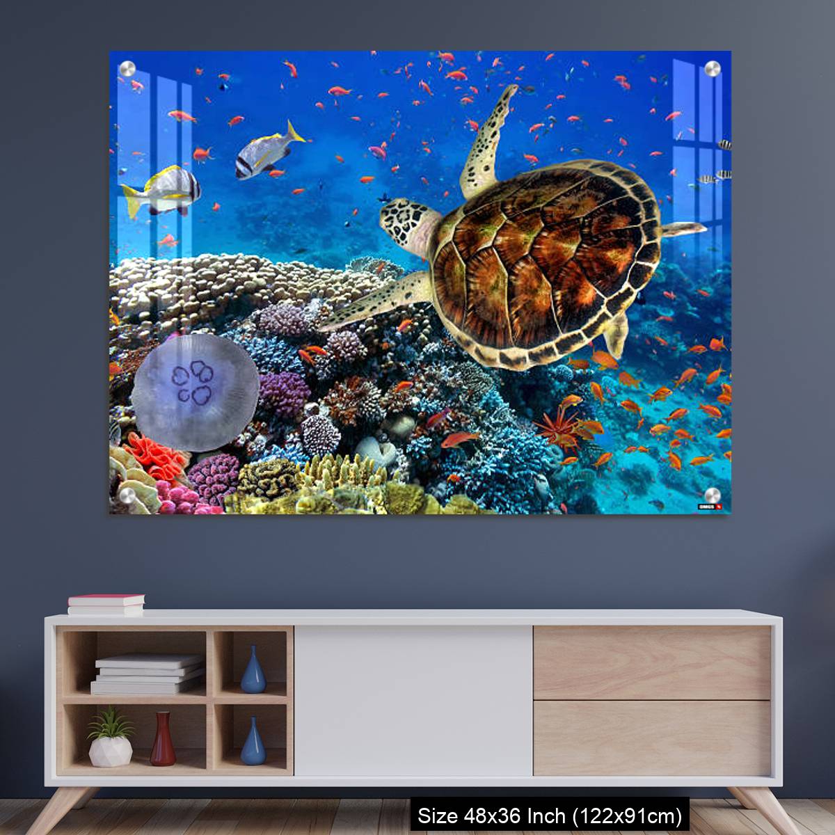 OMGs Acrylic Wall Decor – colorful coral reef with many fishes and sea turtle