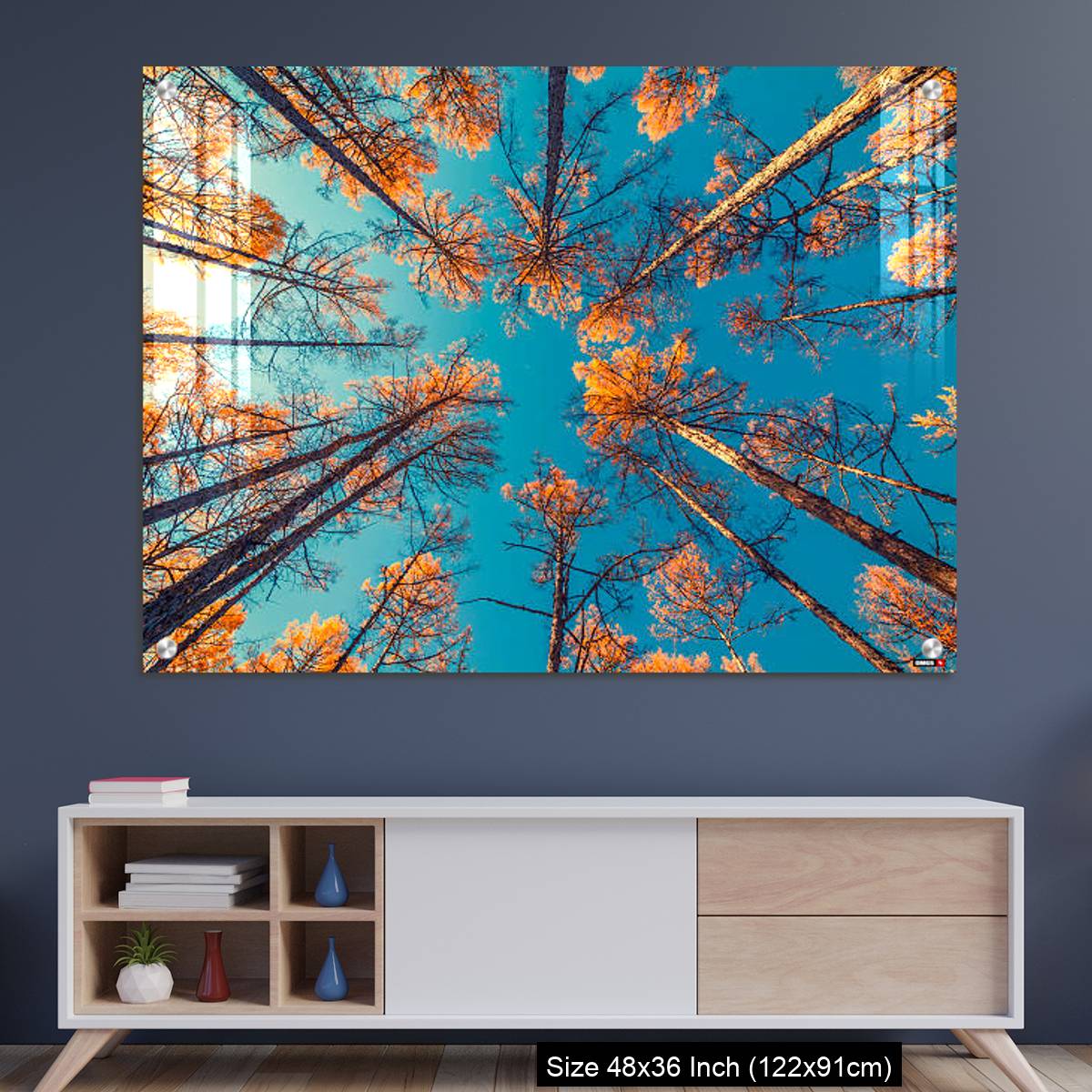 OMGs Acrylic Wall Decor – looking up at trees and clear blue sky