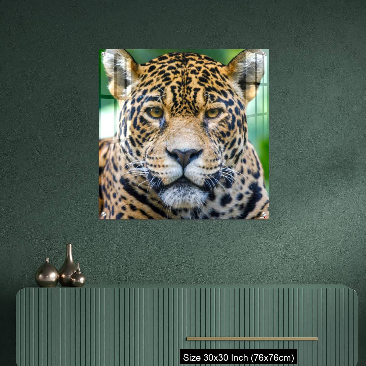 OMGs Acrylic Wall Decor – Jaguar looking at camera - Pantanal wetlands, Brazil - Image 2