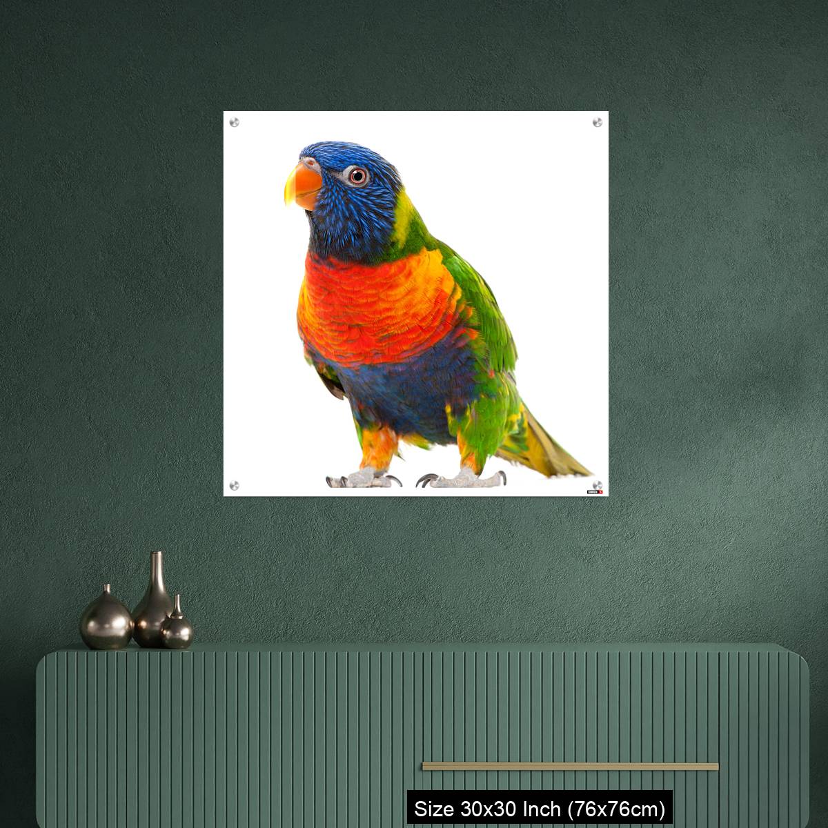 OMGs Acrylic Wall Decor – Rainbow Lorikeet, Trichoglossus haematodus - Image 2