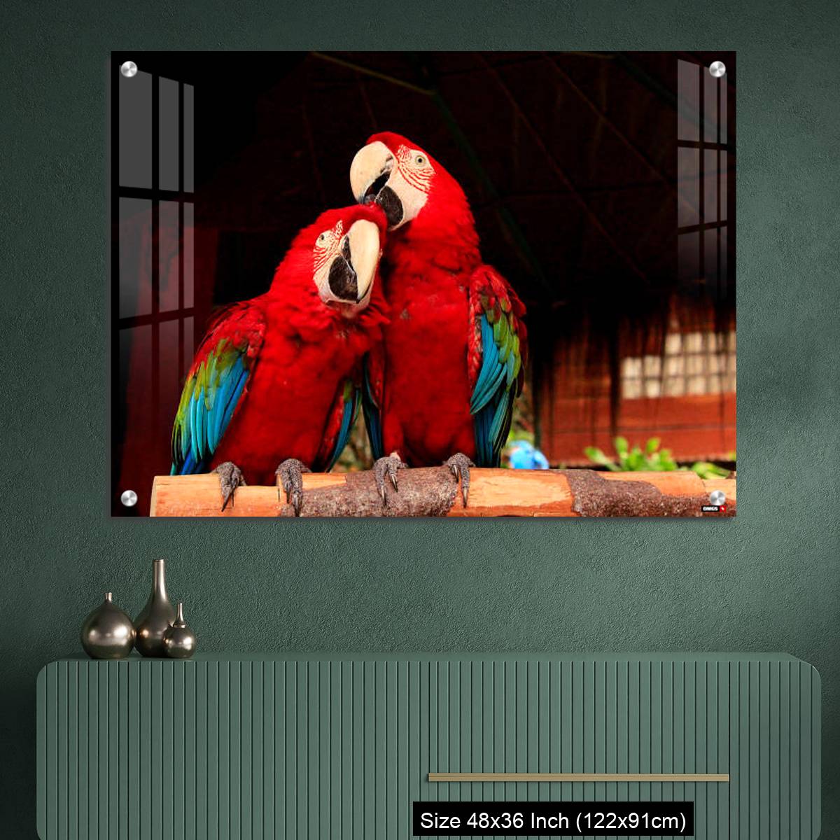 OMGs Acrylic Wall Decor – A  Macaw Bird Teasing His Friend’s Head - Image 2